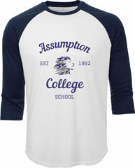 Assumption College Pro Team Baseball Jersey