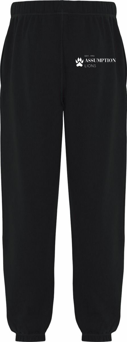 Assumption College Everyday Youth Fleece Sweatpants