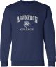 Assumption College Varsity Champion Powerblend Crewneck Sweatshirt