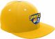 Sabres Team 365 Flexfit Pro-Formance Cap